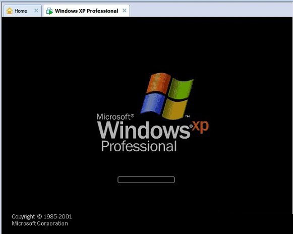进入虚拟机安装的XP系统界面